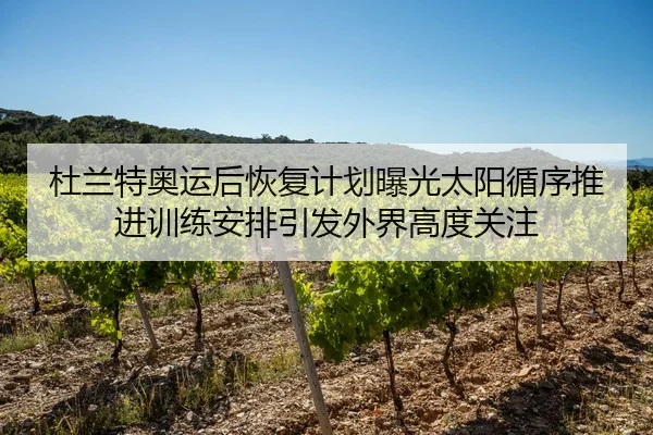 杜兰特奥运后恢复计划曝光太阳循序推进训练安排引发外界高度关注